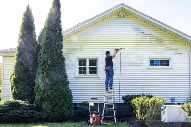 Best Solar Panel Cleaning  in Newport, WA